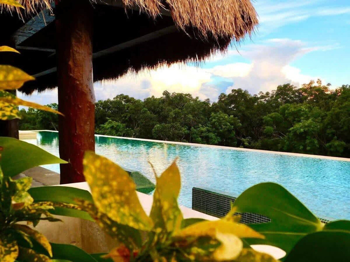 Room 3, Condo With Amazing Jungle View Top Amenities, Cozumel