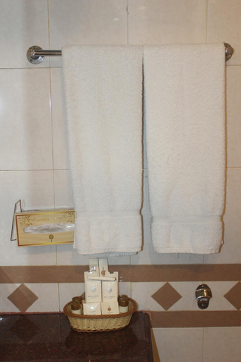 Bathroom 4, Hotel Mehran, Karachi