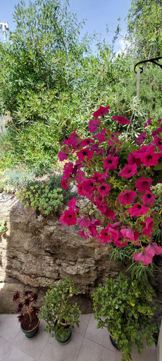 Others 3, A Charming Oasis In The City Heart 2, Makarska