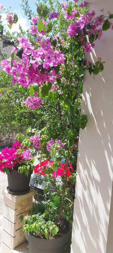 Others 4, Apartmani Liberan Neum, Herzegovina-Neretva