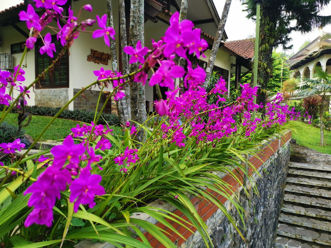 Scenery 9