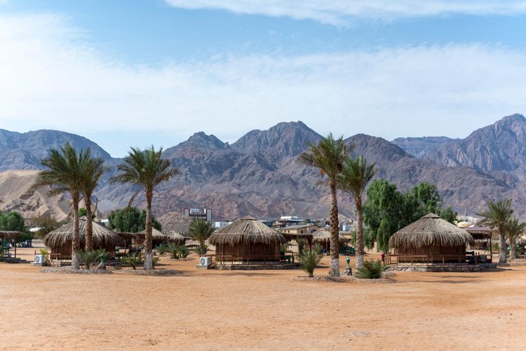 Others 1, Castle Beach, Nuweiba'