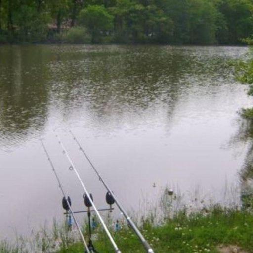 Recreational facilities 3, l'etoile d'Adour, Landes