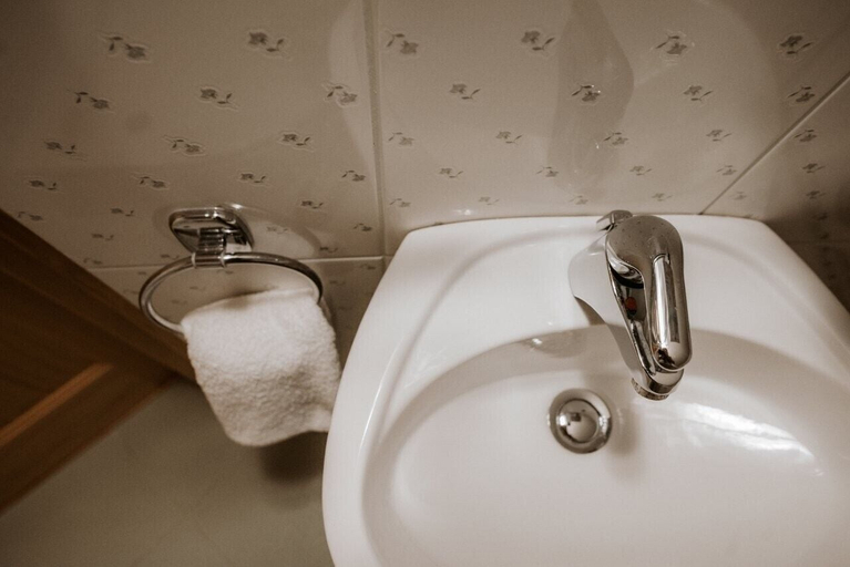 Bathroom 3, Vineyard cottage Zdolšek, Šmarje pri Jelšah