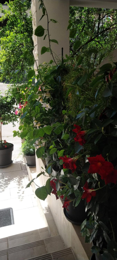 Others 5, Apartmani Liberan Neum, Herzegovina-Neretva