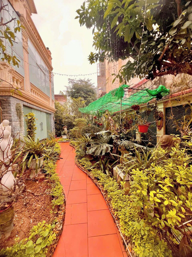 Scenery 7