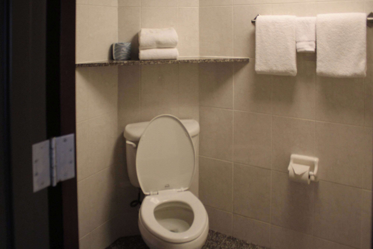 Bathroom 4, Prado Hotel, Madison
