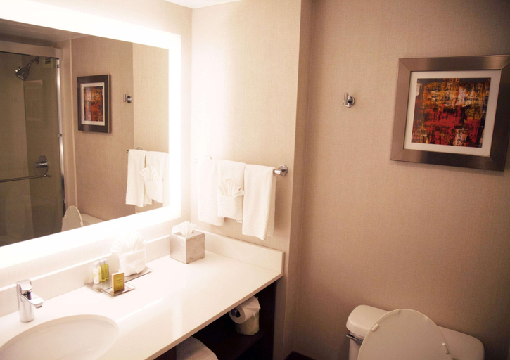 Bathroom 4, The Brookhaven Atlanta Hotel, Atlanta