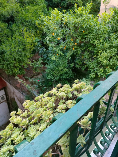 Others 4, B&B A casa di Freddie, Napoli