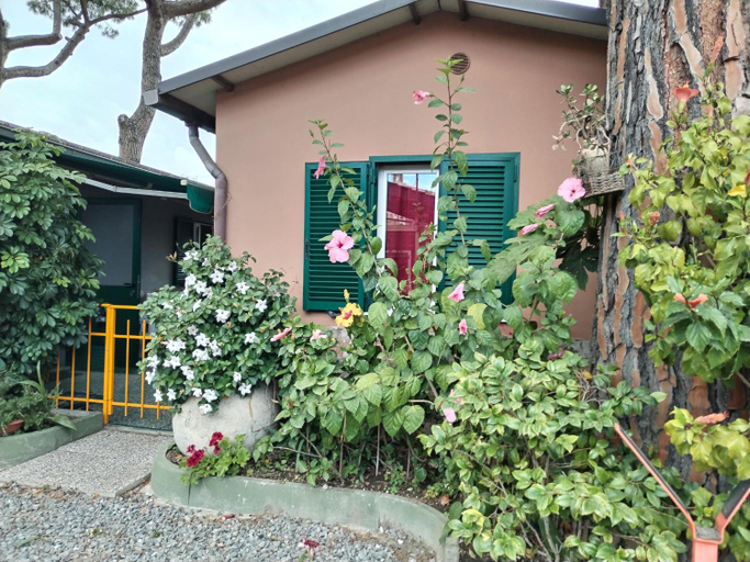 Camping Roma, Imperia