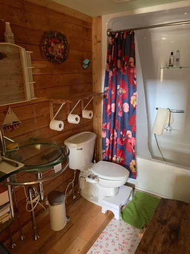 Bathroom, Dear Cove - Kayaking!, Hancock