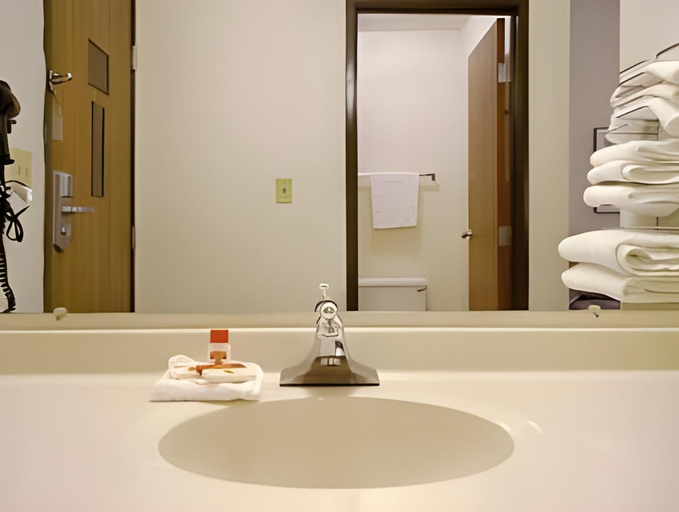 Bathroom 4, Ramada By Wyndham York Harrisburg Hershey, York