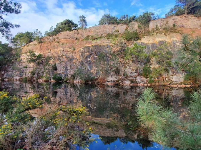 Surrounding environment