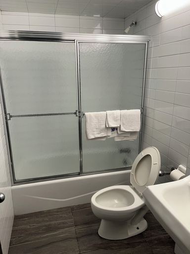 Bathroom 5, Metro Motel, New York