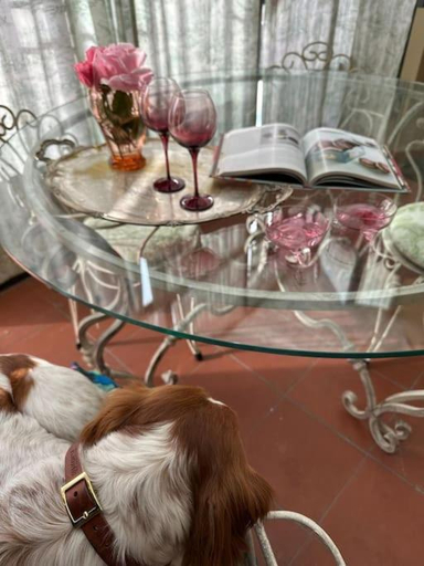 Others 5, ☆Lovely view of Florence in Stilish Designed Apt☆, Florence