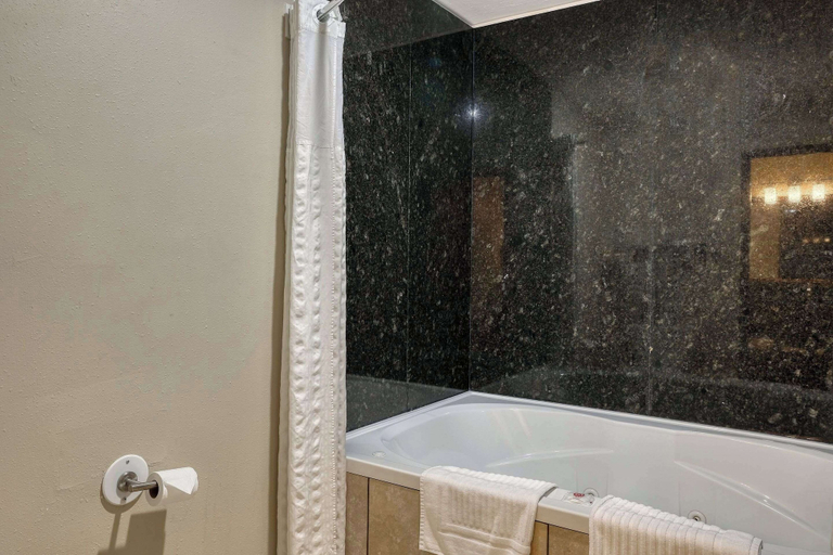 Bathroom 4, Comfort Suites Appleton Airport, Outagamie