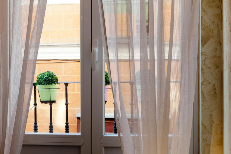 Others 5, THC Hostal Latina, Madrid