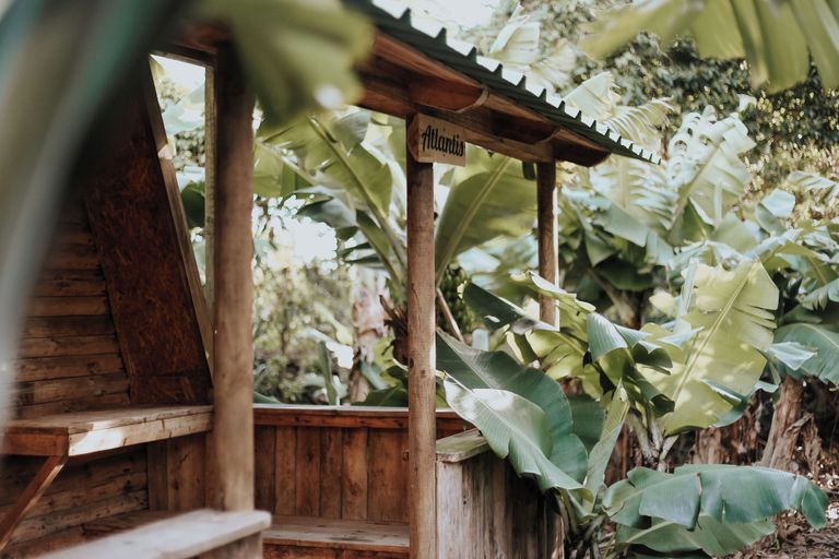Banana Eco Camp, Angra do Heroísmo
