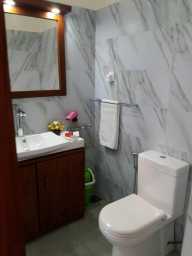 Bathroom 4, Lucky Prince Villa & Ayurveda Wellness, Beruwala