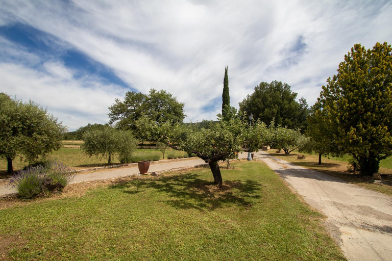 Others 5, Chambre a la campagne, Var