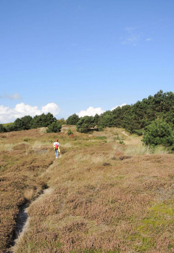 Golf, Holiday Apartment "wangerooger Tied", Friesland
