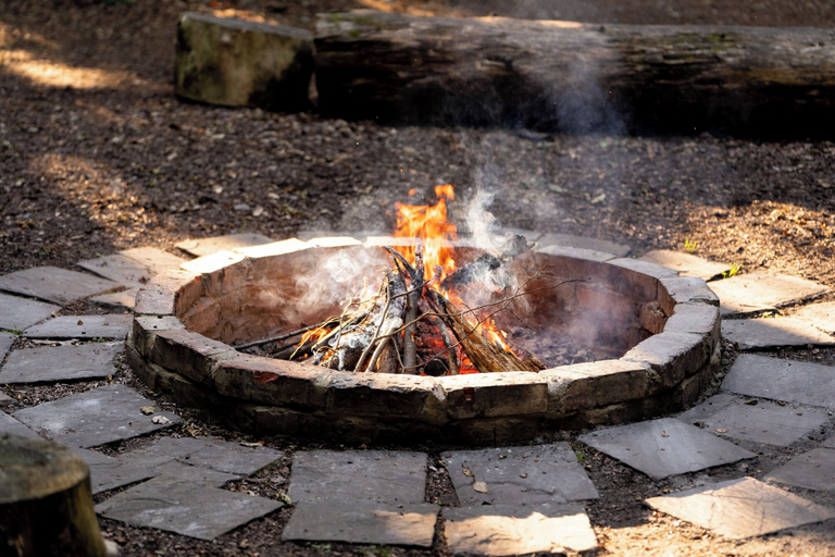 Food & Drinks, Hollington Park Glamping, Hampshire