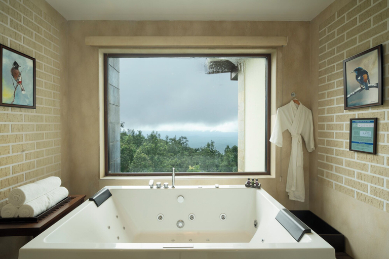 Bathroom 4, Trivik Hotels & Resorts, Chikmagalur, Chikmagalur