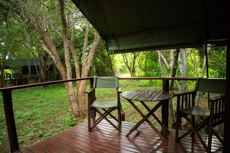 Scenery 20