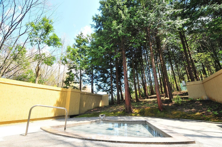 Sport & Beauty 5, Blue Ridge Hotel, Toyooka