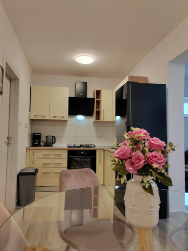 Kitchen 5, Apartments and pool Luminous, Pula