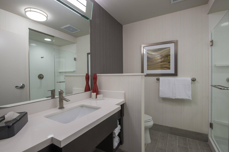 Bathroom 4, Courtyard Columbus, Lowndes