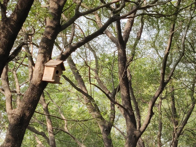 Others 5, Bird Sanctuary Sultanpur Tourist Complex, Gurgaon