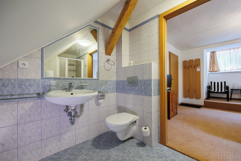 Bathroom 4, Pension U Golfu, Sokolov