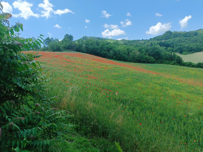 Scenery