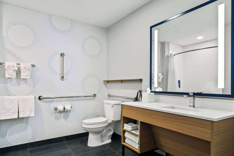 Bathroom 4, Tru By Hilton Rogers Bentonville, Benton