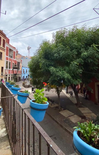 Others 5, Alonso53, Guanajuato