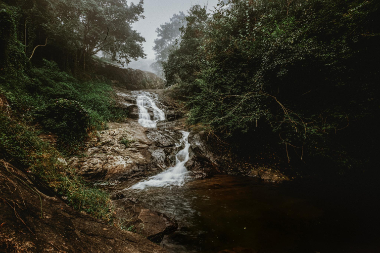 Others 3, Stream Garden Mountain Resort, Wayanad