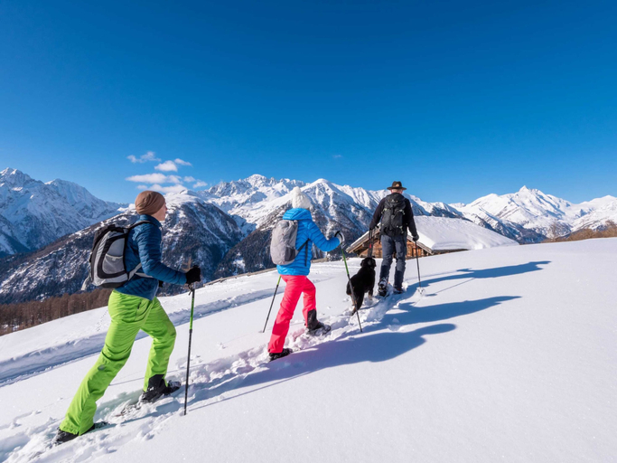 Others 3, Holiday Home in Obervellach Near ski Area, Spittal an der Drau