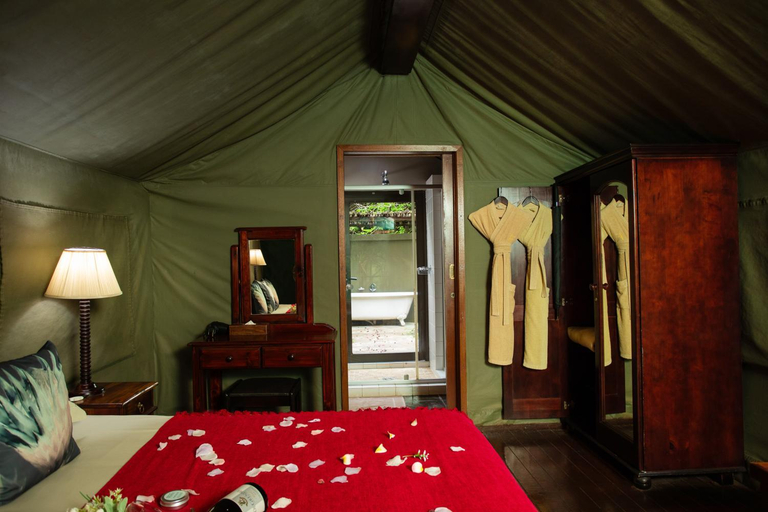 Bedroom 7