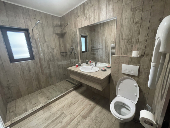 Bathroom 4, Club Vila Bran, Bran