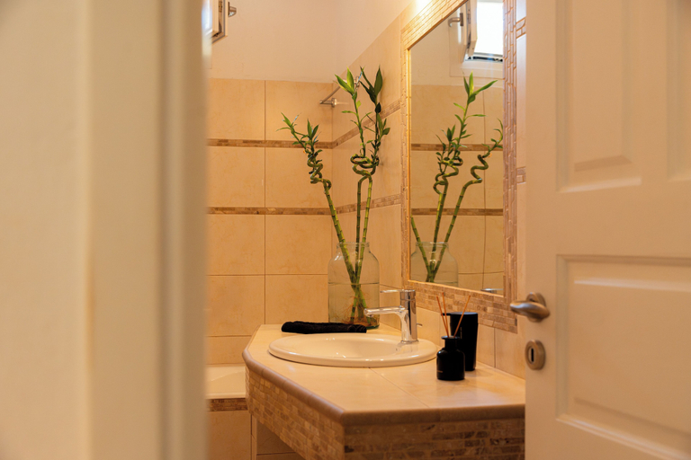 Bathroom 5, Paradisia Villas, South Aegean
