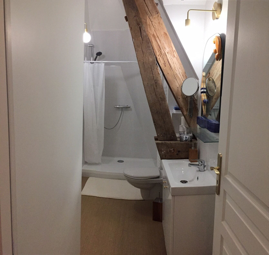 Bathroom 5, Propriété Les Ruisseaux, Seine-et-Marne