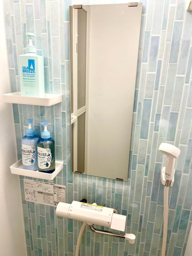 Bathroom 3, Little Garden, Otaru