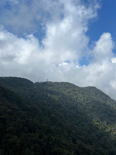 Scenery