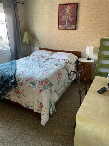Others 5, Comfortable stay, Halton