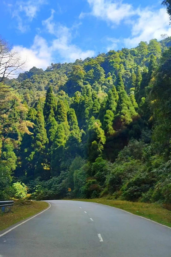 Others 3, Trip n Trail Eco Homes- silkroute, kalimpong, Darjiling