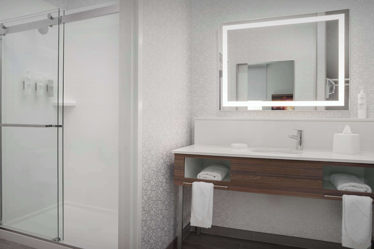 Bathroom 4, Hampton Inn & Suites Naples South, Collier
