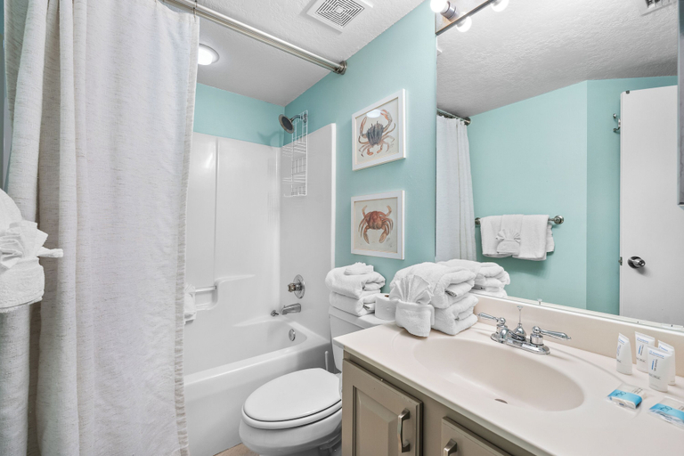 Bathroom 3, White Caps 203, Baldwin