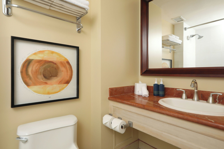 Bathroom 5, Four Points by Sheraton San Jose Costa Rica, Santa Ana