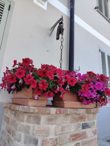 Others 2, Bricco - Bed&Breakfast, Alessandria